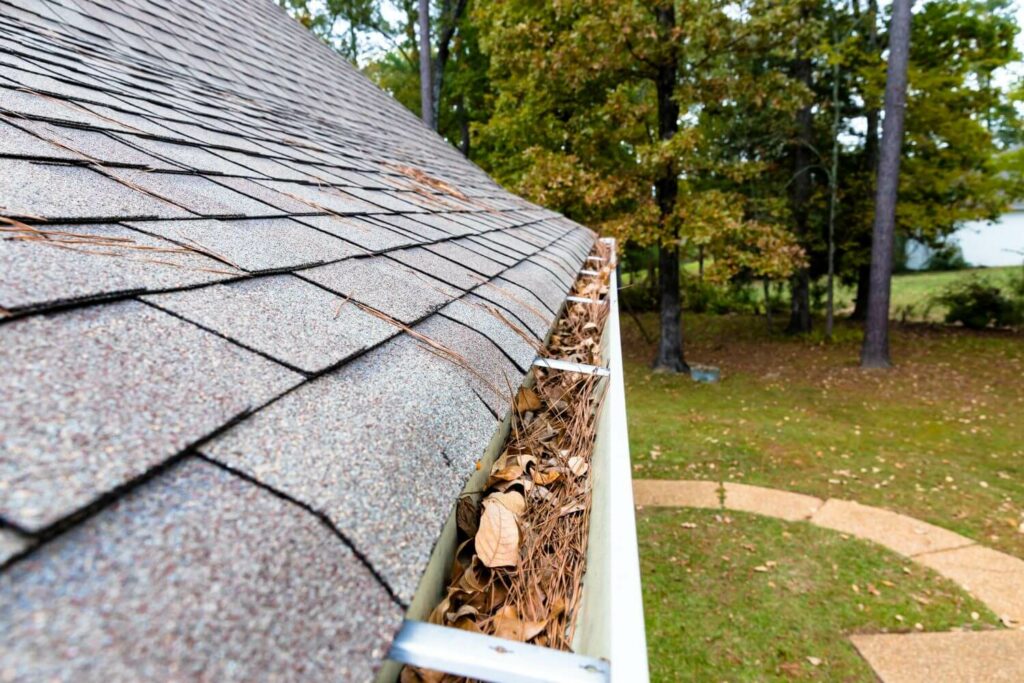 Common roof problems and solutions