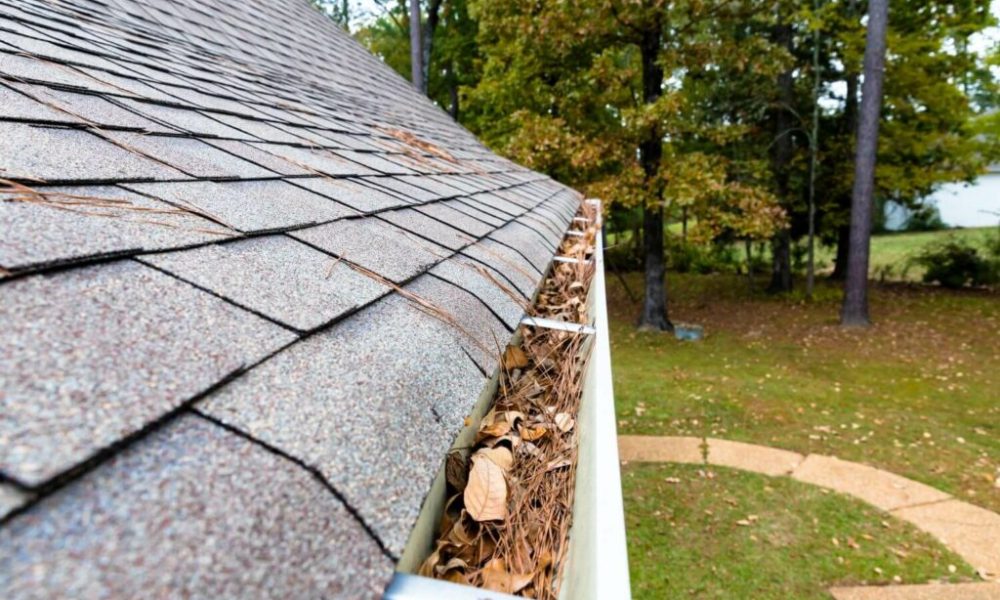 Common roof problems and solutions